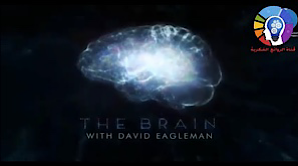 سلسة الدماغ مع ديفيد ايجلمان (6 حلقات)